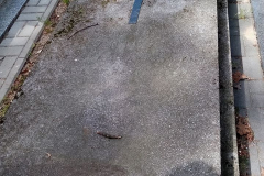 Nagrobek aktora Michała Znicza (kwatera O) cmentarza na Żbikowie. Grób został zlikwidowany podczas pandemii Covid-19 (2020–2022). / fot. Barbara Nosek