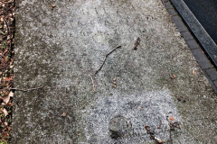 Nagrobek aktora Michała Znicza (kwatera O) cmentarza na Żbikowie. Grób został zlikwidowany podczas pandemii Covid-19 (2020–2022). / fot. Ewa Bratosiewicz