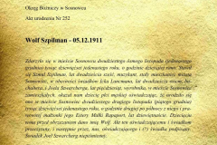 metryka urodzenia Władysława Szpilmana