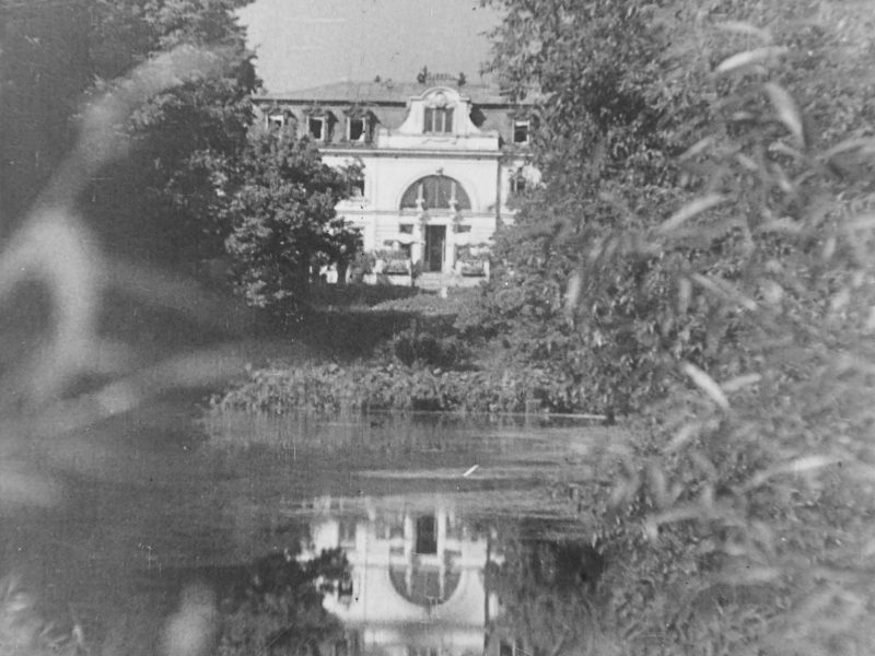 Zaborów, Pałac Goldstandów (Moi rodzice rozwodzą się)