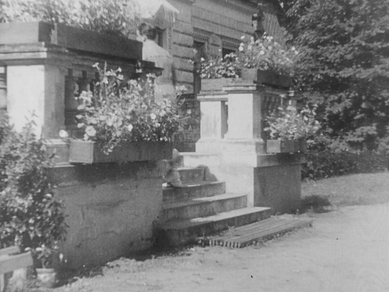 Zaborów, Pałac Goldstandów (Moi rodzice rozwodzą się)