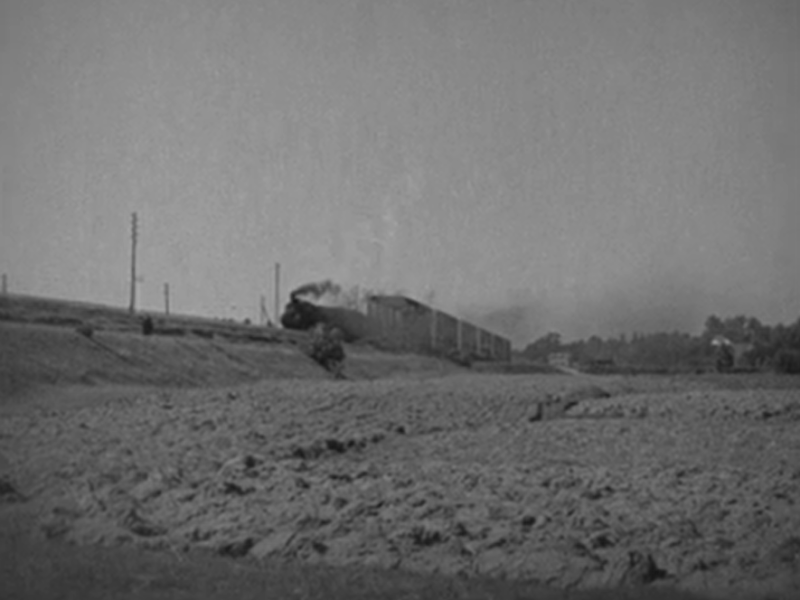 Rybienko, przystanek kolejowy (Wyrok życia)