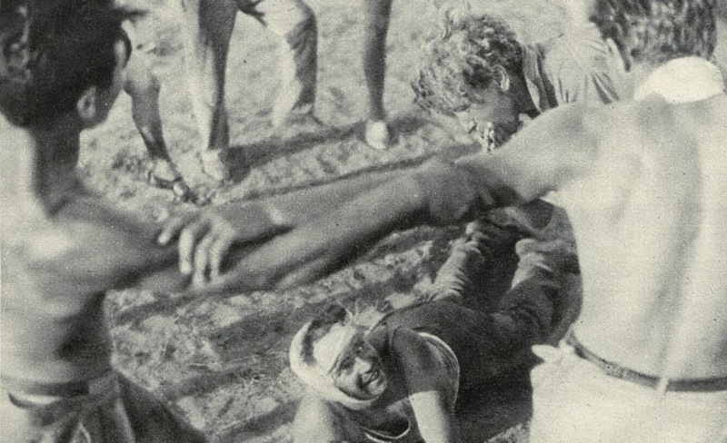 Sabra (Chalucim)