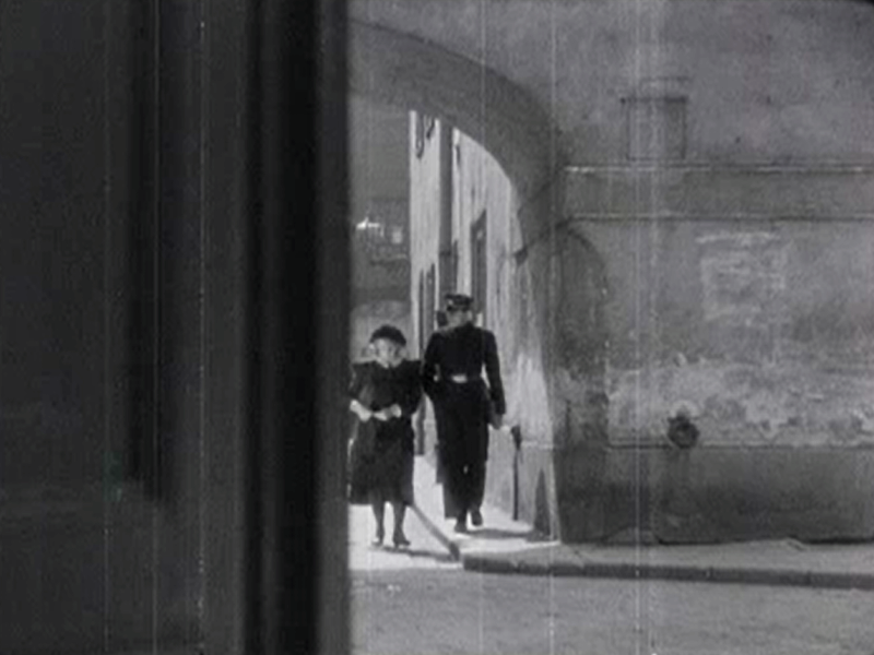 Warszawa, ul. Dziekania (Młody las)