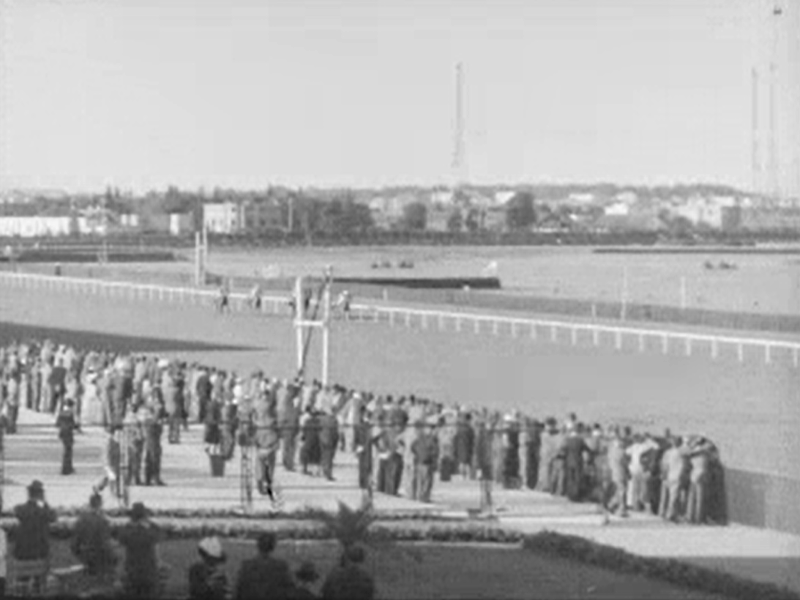 Warszawa, Służewiec, tor wyścigów konnych (Ja tu rządzę)