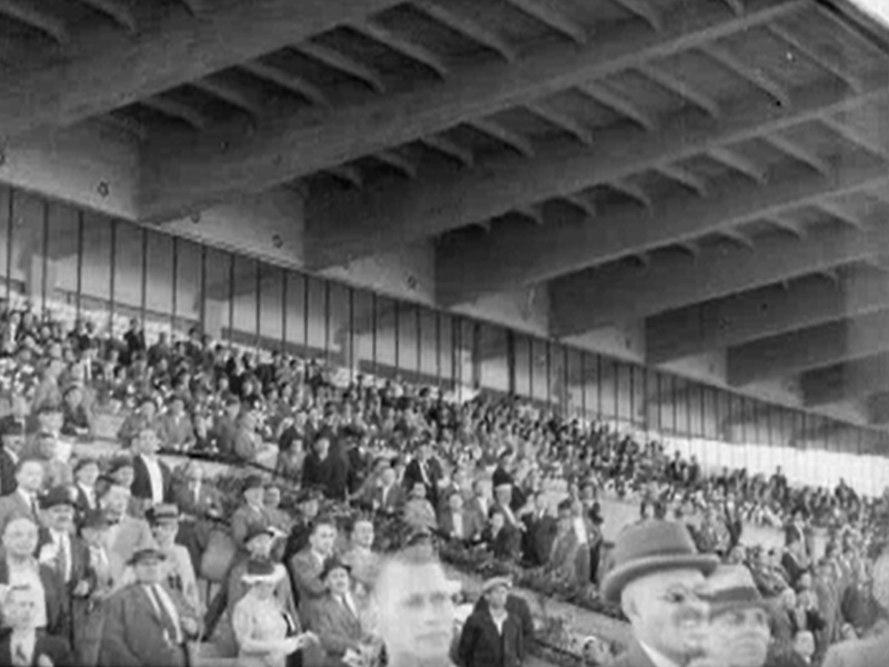 Warszawa, Służewiec, tor wyścigów konnych (Ja tu rządzę)