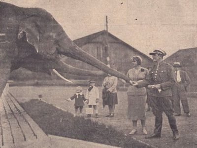 Warszawa, Ogród Zoologiczny (Bezimienni bohaterowie)