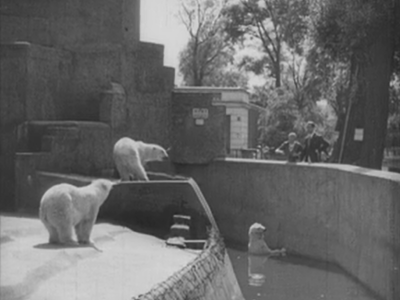 Warszawa, Ogród Zoologiczny (Szpieg w masce)