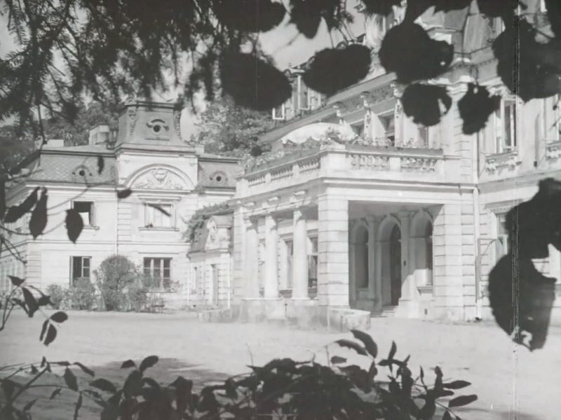 Zaborów, Pałac Goldstandów (Dziewczyna szuka miłości)