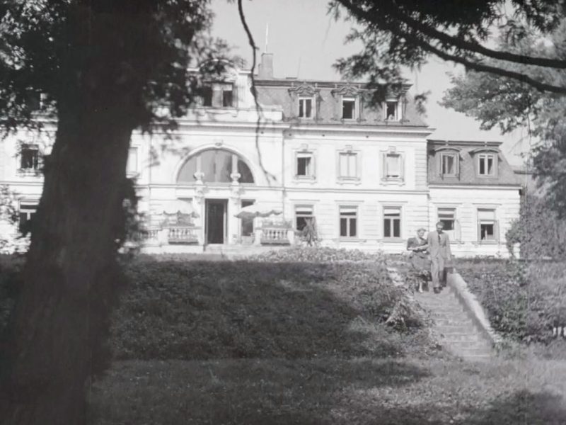 Zaborów, Pałac Goldstandów (Dziewczyna szuka miłości)
