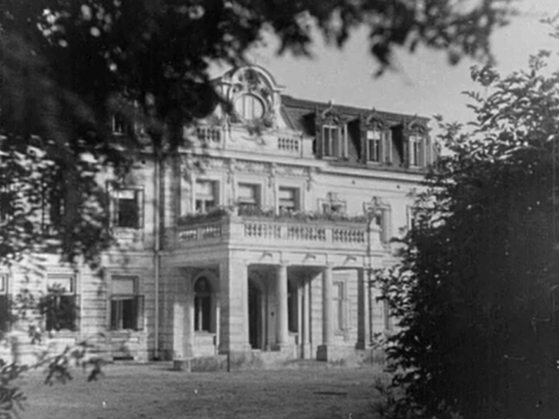 Zaborów, Pałac Goldstandów (Moi rodzice rozwodzą się)