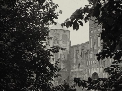 Mir, Zamek (Pan Tadeusz)