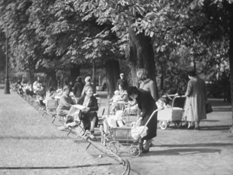 Warszawa, Ogród Saski (Niedorajda)