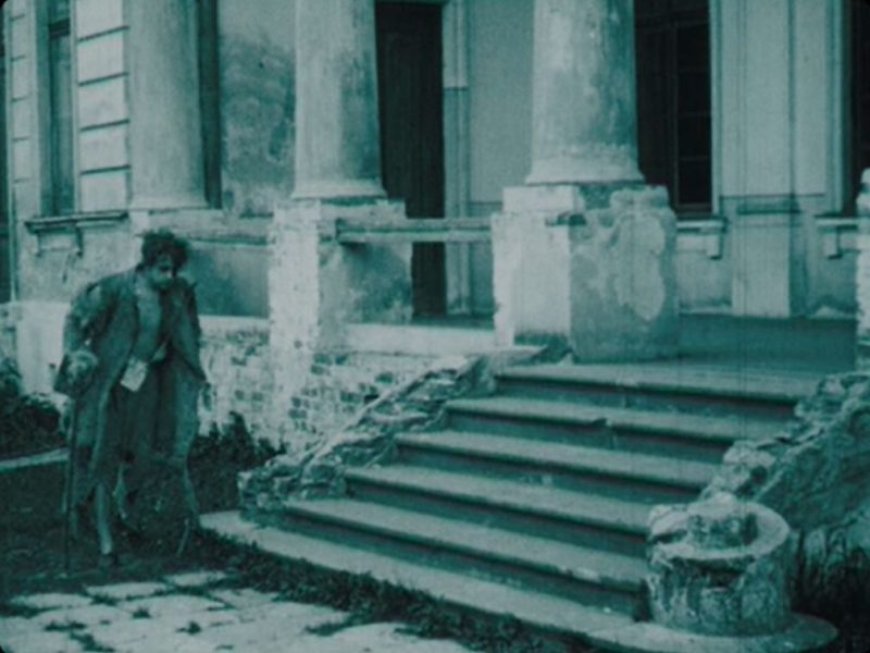 Warszawa, Młociny, ul. Muzealna 1, Pałac Brühla (Rok 1863)