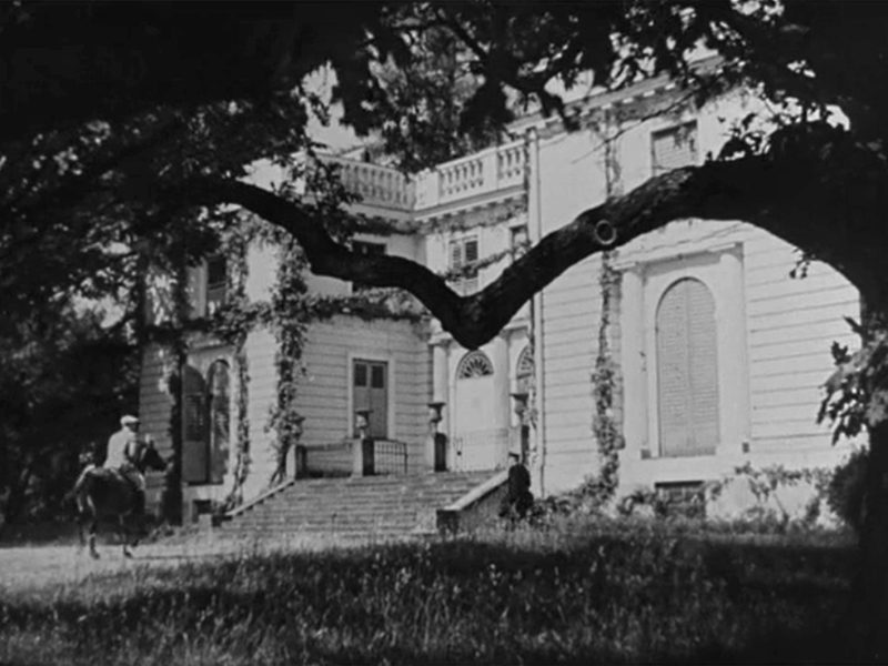 Warszawa, ul. Nowoursynowska 84, Natolin (Gehenna)