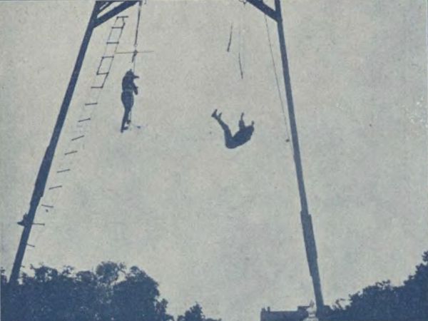 Warszawa, Dolina Szwajcarska (Czerwony błazen)