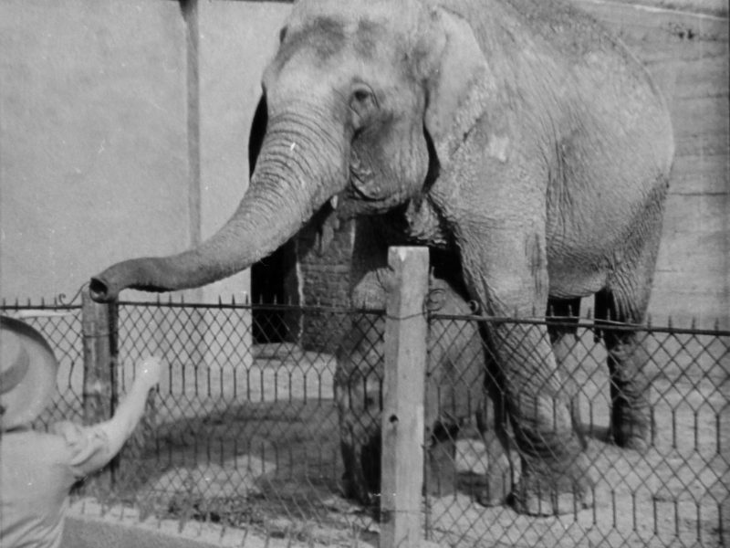 Warszawa, Ogród Zoologiczny (Skłamałam)