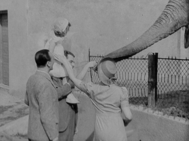 Warszawa, Ogród Zoologiczny (Skłamałam)