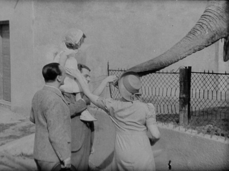Warszawa, Ogród Zoologiczny (Skłamałam)