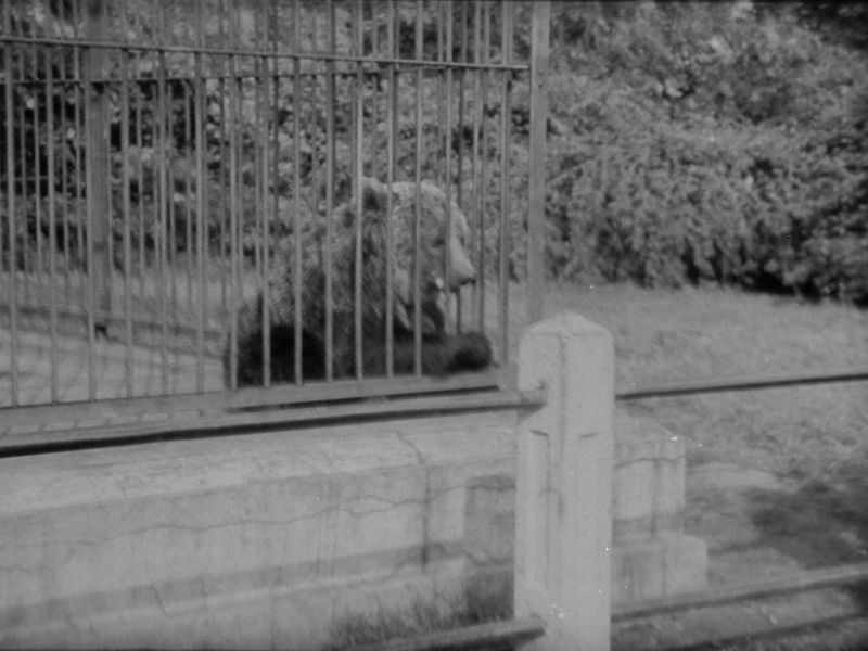 Warszawa, Ogród Zoologiczny (Skłamałam)
