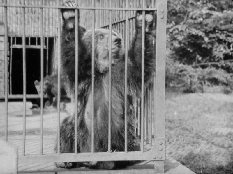Warszawa, Ogród Zoologiczny (Skłamałam)