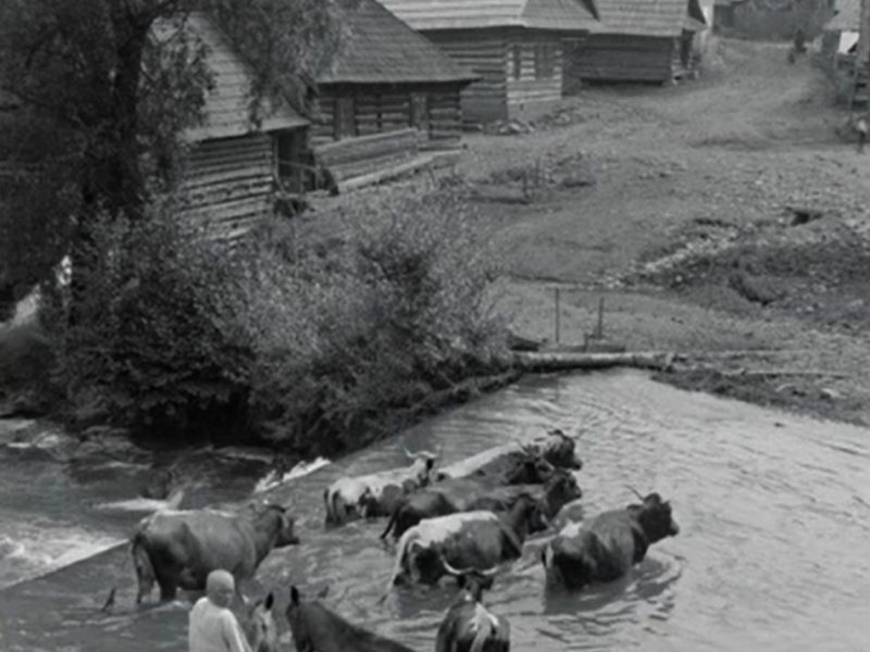 Kacwin, młyn (Halka 1929)