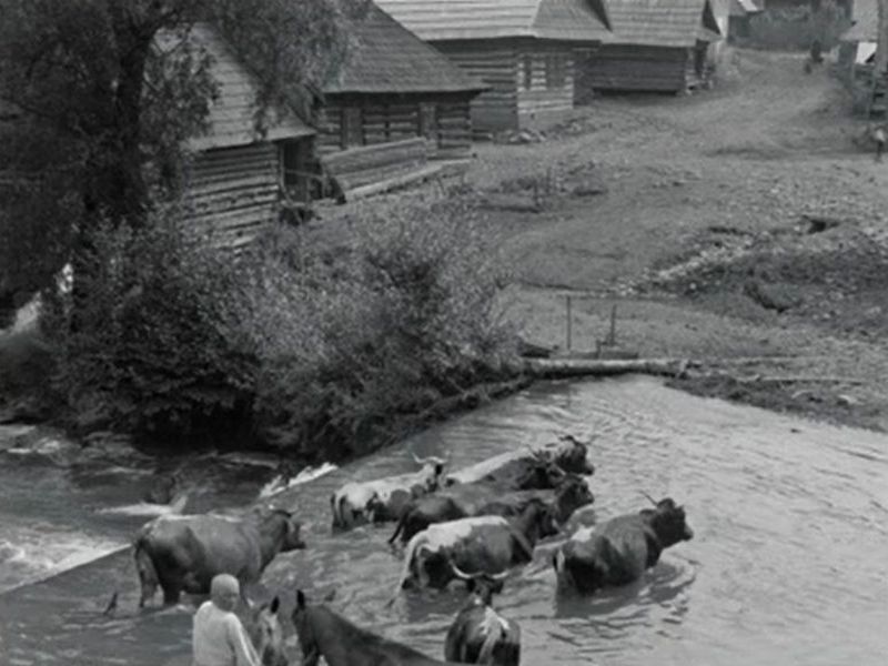 Kacwin, młyn (Halka 1929)