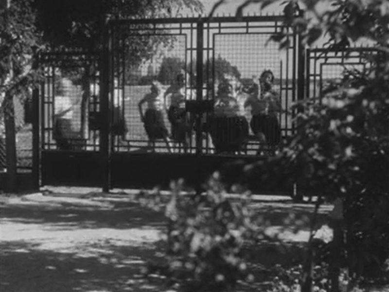 Józefów, ul. Nadwiślańska 98 (Zapomniana melodia)