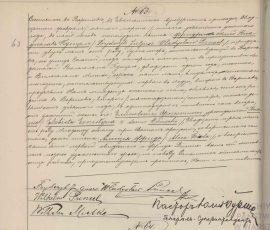 Akt urodzenia Alicji Fridy Puncel (Alicji Borg)